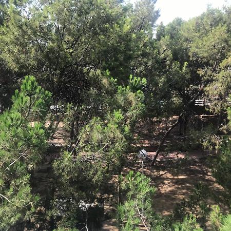 Apartamento Con Terraza, Garaje Y Piscina A 350M Playa Garrucha Extérieur photo